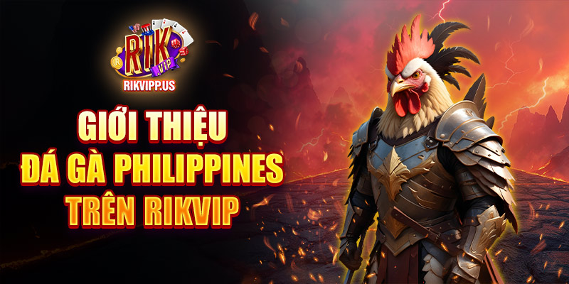 Giới thiệu đá gà Philippines Rikvip