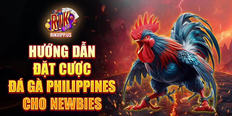 Hướng dẫn đặt cược đá gà Philippines cho newbies